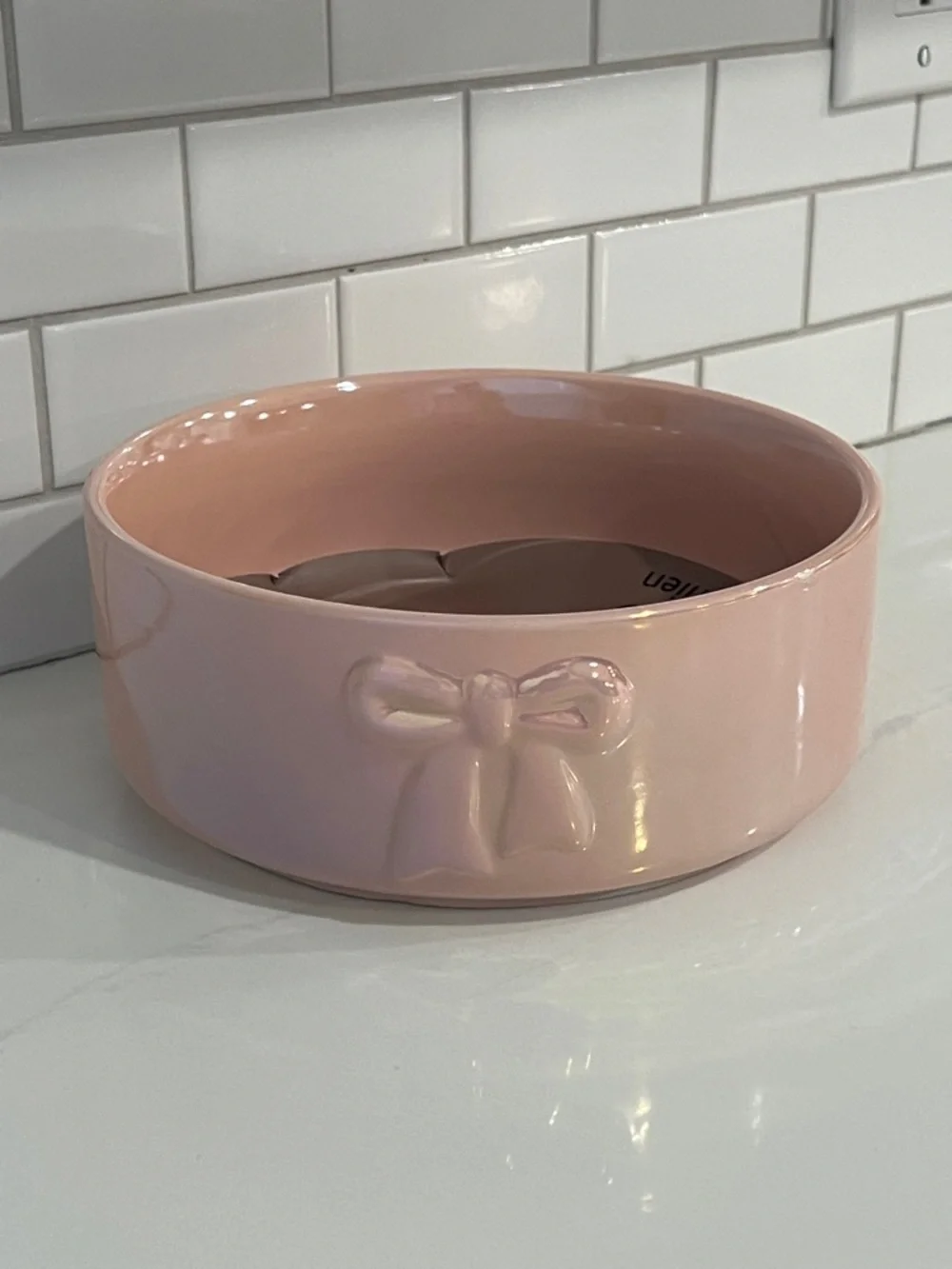 Cute.🐾🎀 DOGS. BOWL🎀🐾